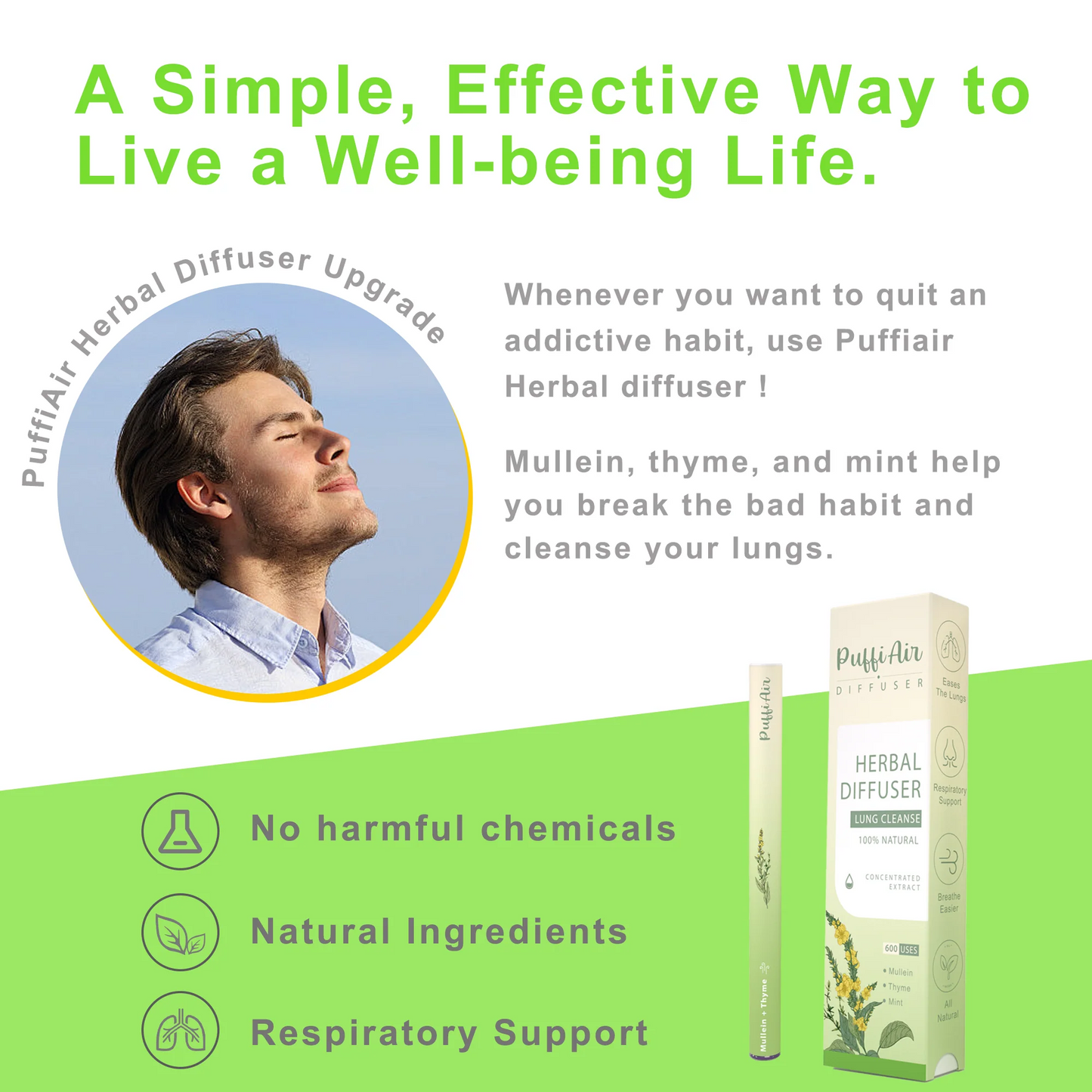 Herbal Diffuser Upgraded with Extracts of Mullein, Thyme and Mint for Cleansing Lungs, Improving Breathing and Oral Air Freshening - 2 Sticks 1Pack